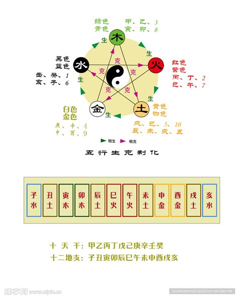 地支五行陰陽|五行正解：五行之天干、地支